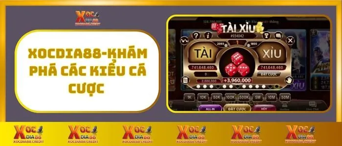 Tài xỉu 4 XocDia88 - Khám Phá Các Kiểu cá Cược